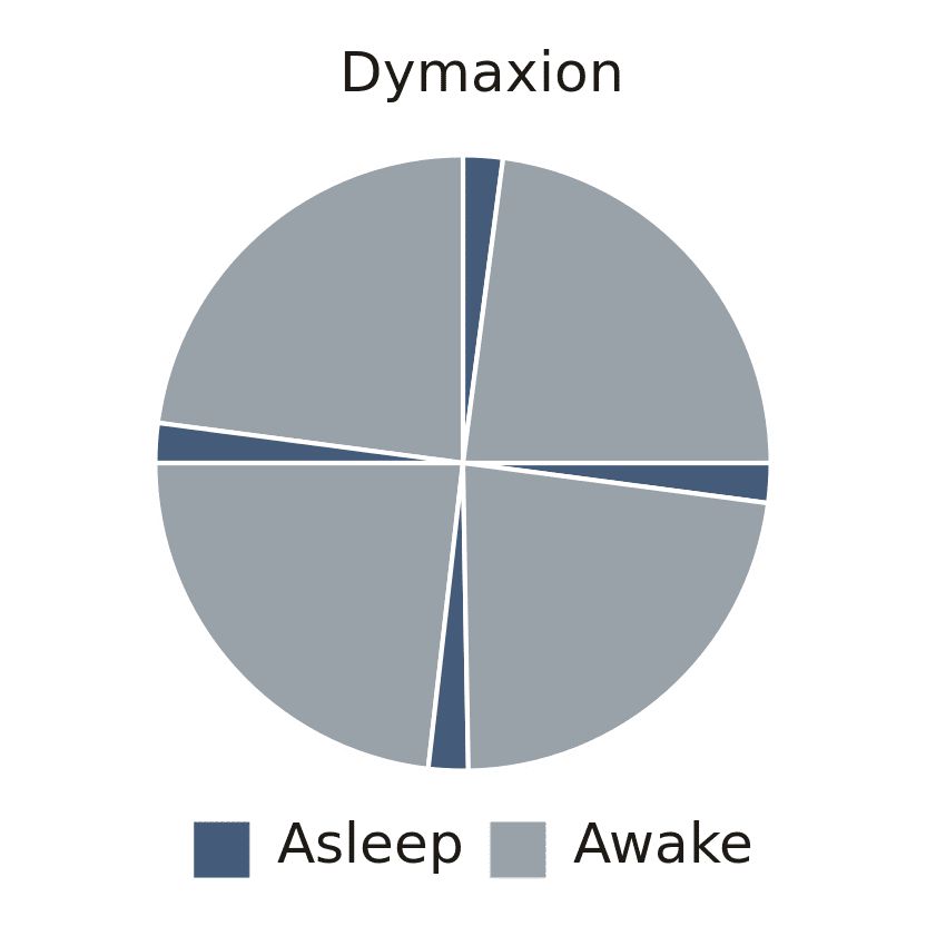 Dymaxion schedule