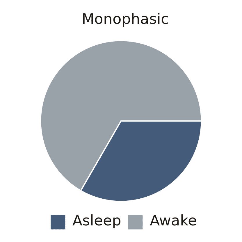 monophasic sleep